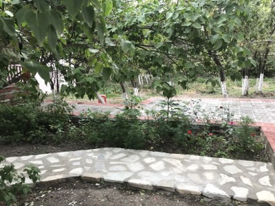 image 375825