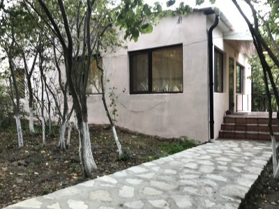 image 375825