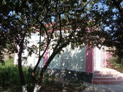 image 375825