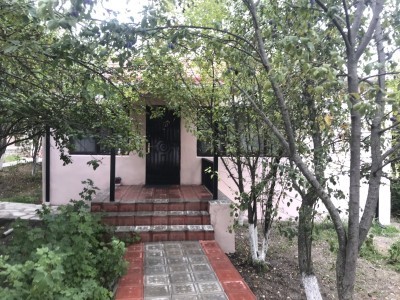 image 375825