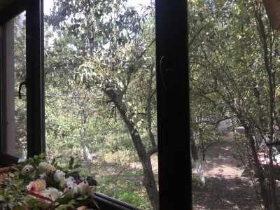 image 375825