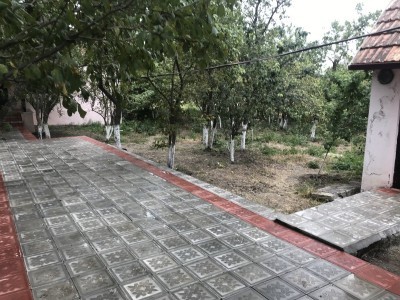 image 375825