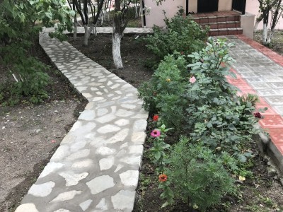 image 375825