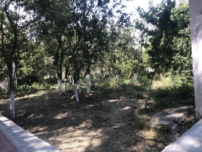 image 375825
