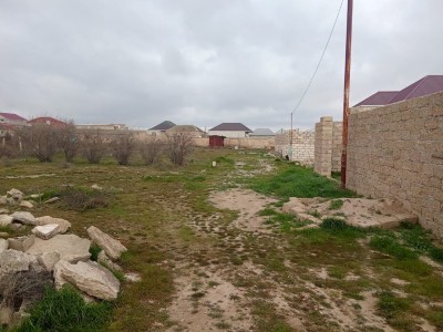 image 375832