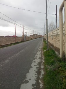 image 375835