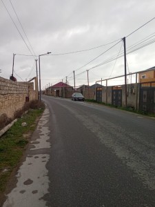 image 375835