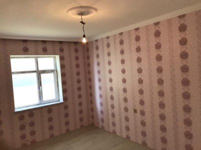 image 375842