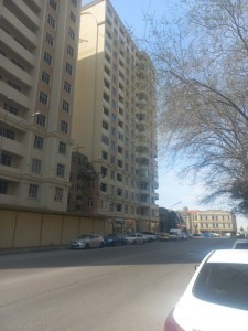 image 375845