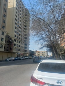 image 375845