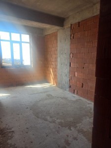 image 375845