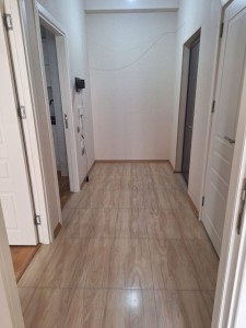 image 375848