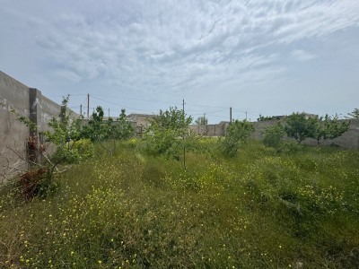image 375849