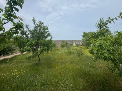image 375849