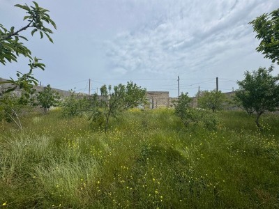 image 375849