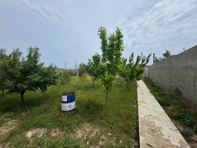 image 375849