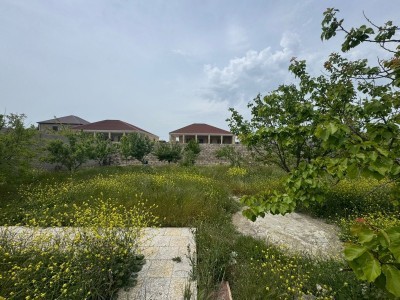 image 375849