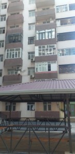 image 375863