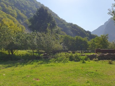 image 375865