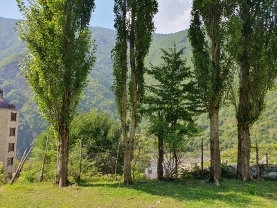 image 375865