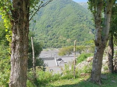 image 375865