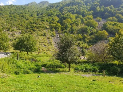 image 375865