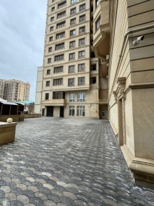 image 375866