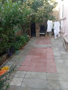 image 375870