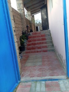 image 375870