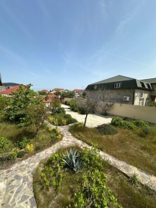 image 375871