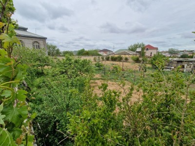 image 375878