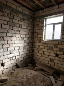 image 375881