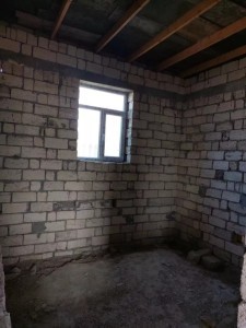image 375881