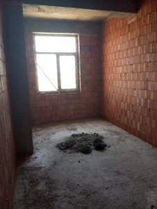 image 375883