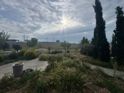 image 375888