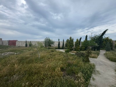 image 375888