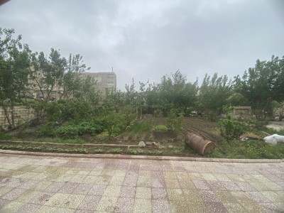 image 375889