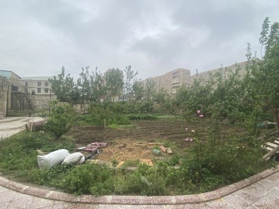 image 375889