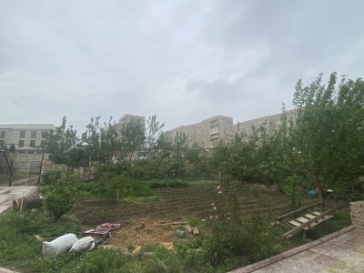 image 375889
