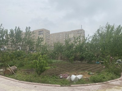 image 375889