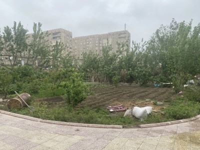 image 375889