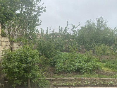 image 375889