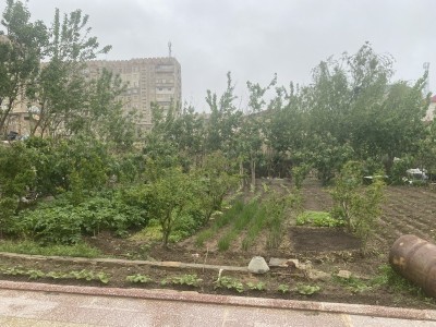 image 375889