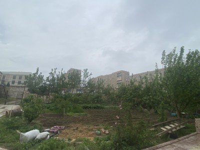image 375889