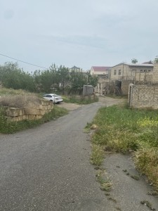 image 375889