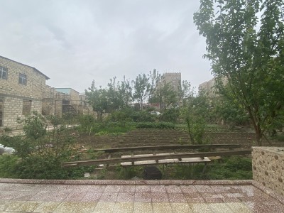 image 375889