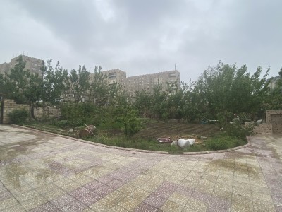 image 375889