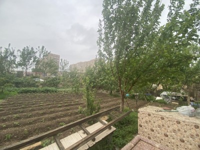 image 375889