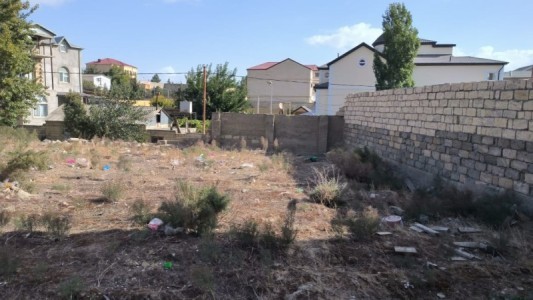 image 375891