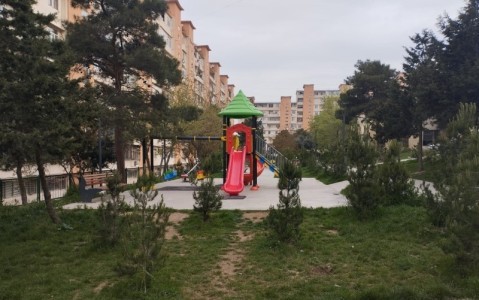 image 375905